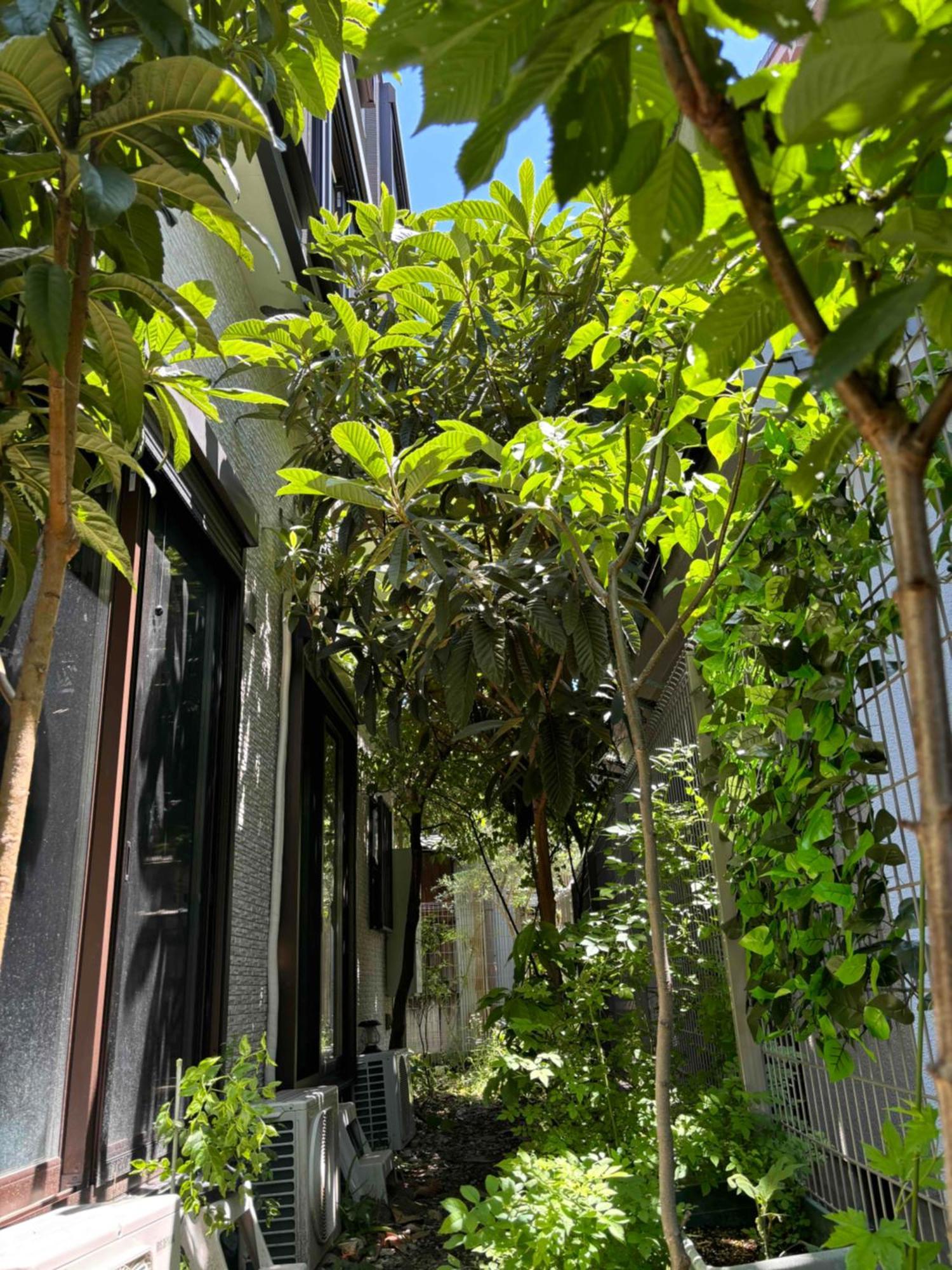 Guest House Harukawa 大阪 外观 照片